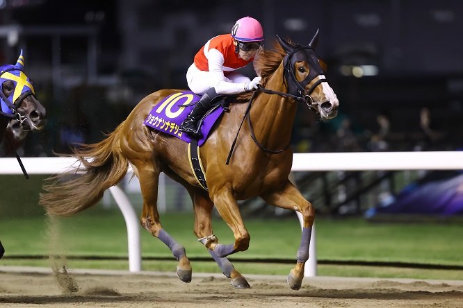 🏇 가와사키 경마장 (카와사키 케이바조) 이미지 13